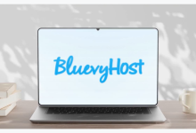 Is bluevyhost Worth It? A Deep Dive into Its Managed WordPress Hosting Plans-Server Malaysia